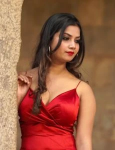 call girl service in Narwar